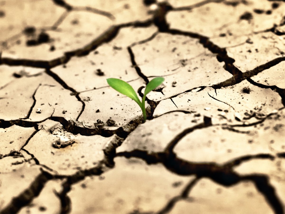 Всемирный день по борьбе с опустыниванием и засухой