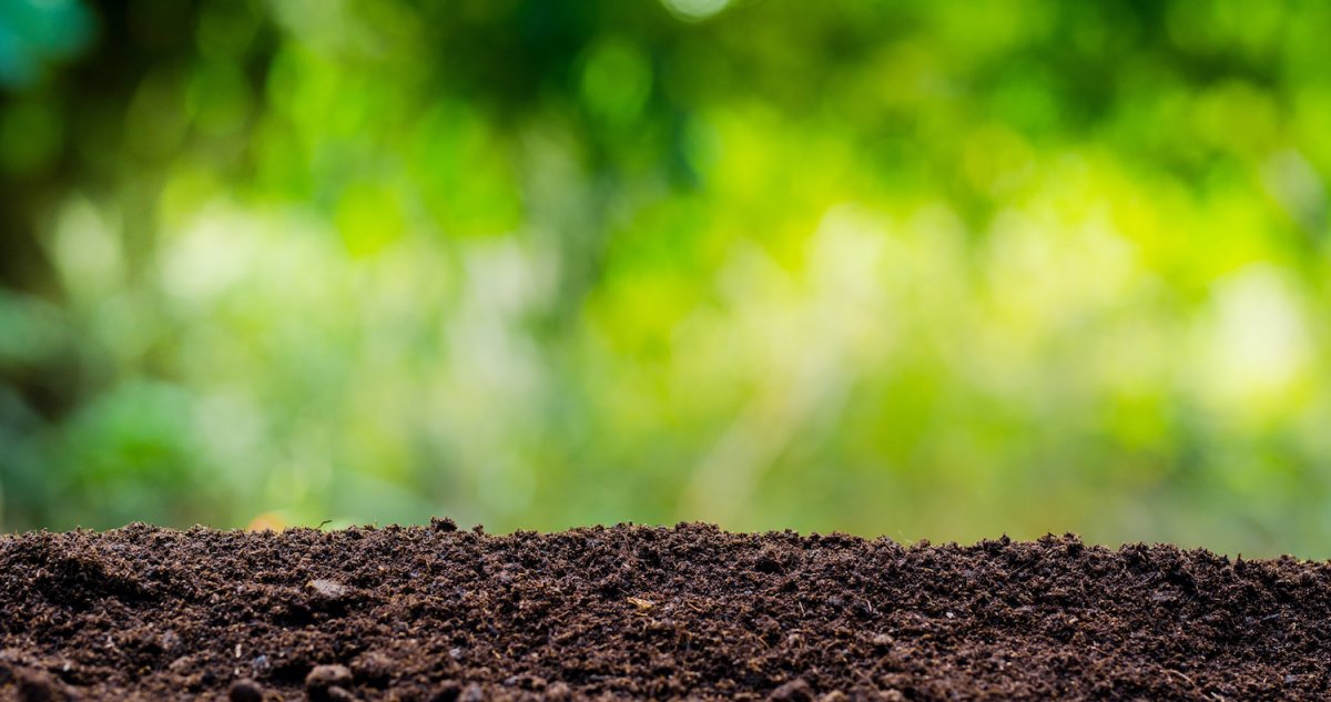 Почва фон вертикальный