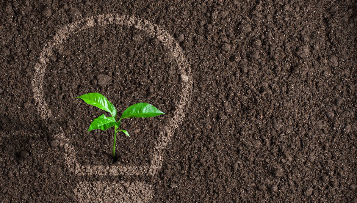 Фон для презентации по почвам