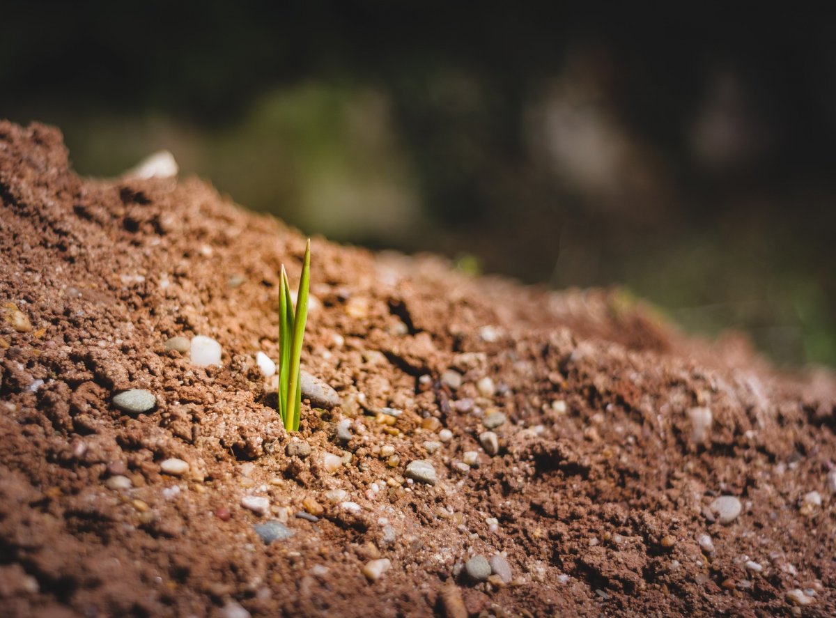 Земля почва