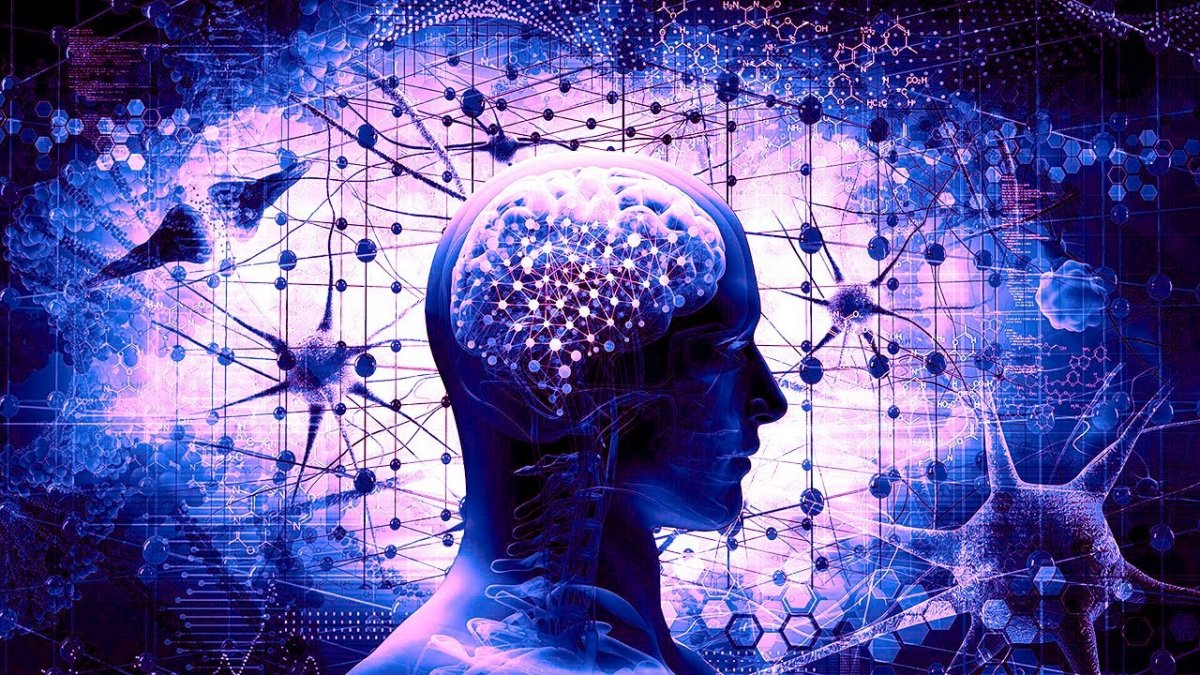 Мозг мышление