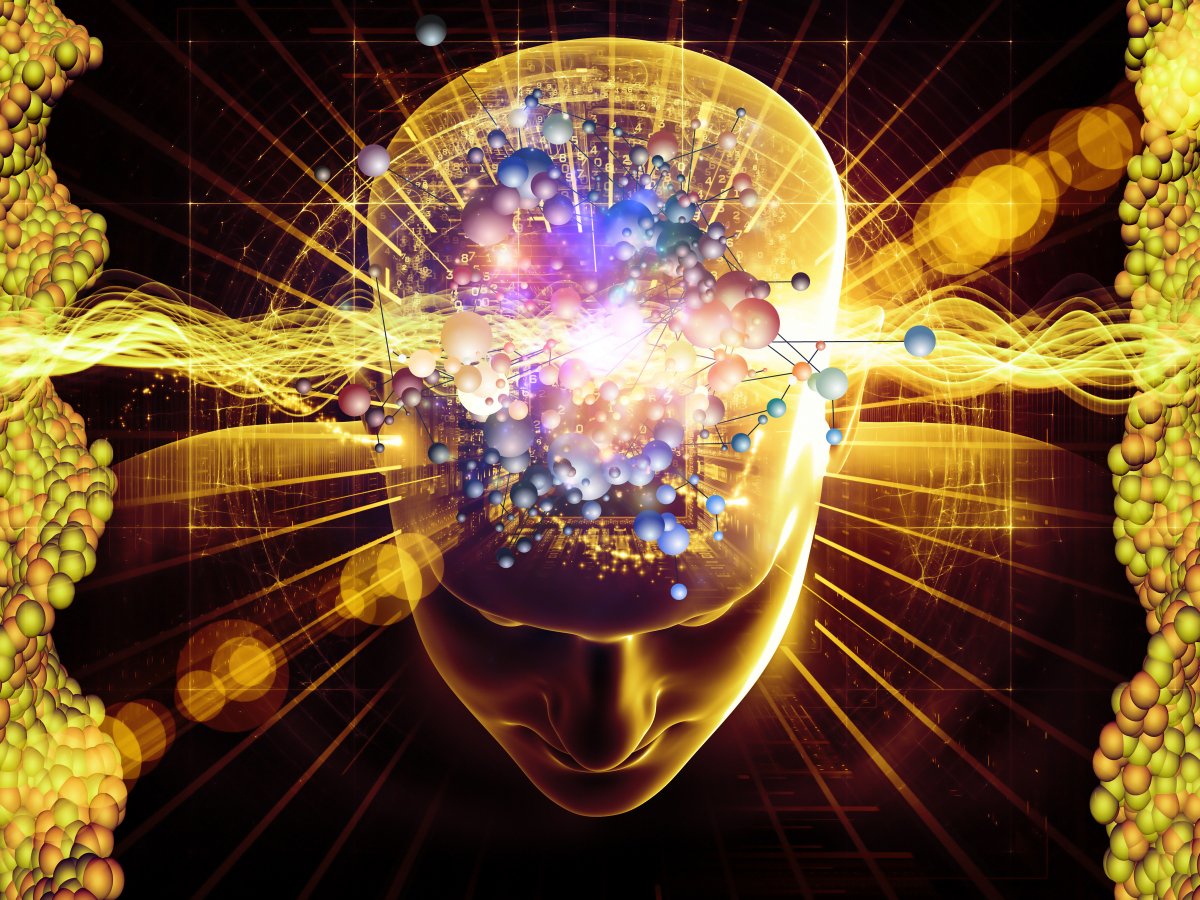 Разум мышление