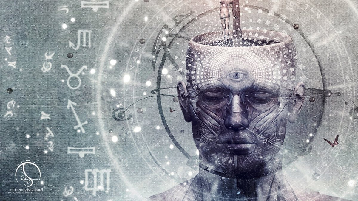 Кэмерон грей картины