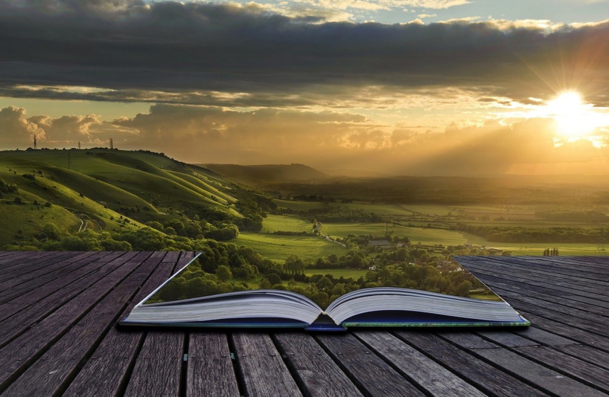 Мудрость природы