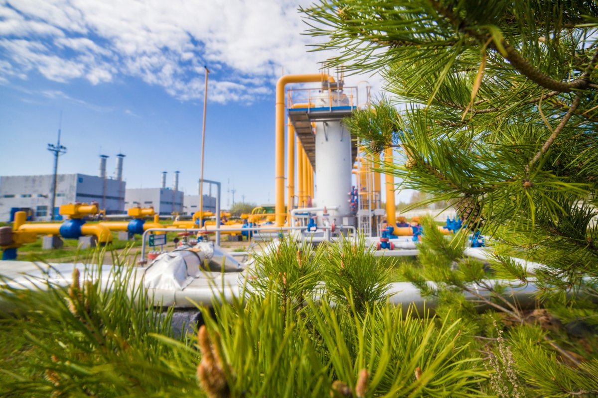 Экология нефтегазового комплекса