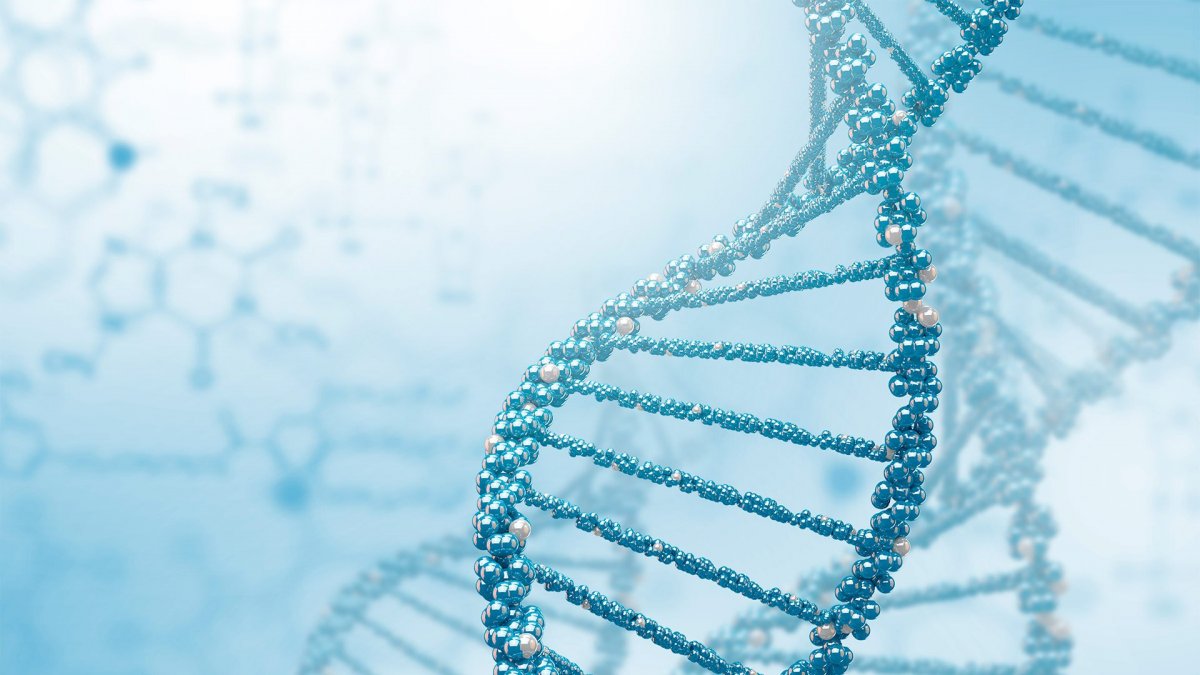 Цепочка ДНК DNA