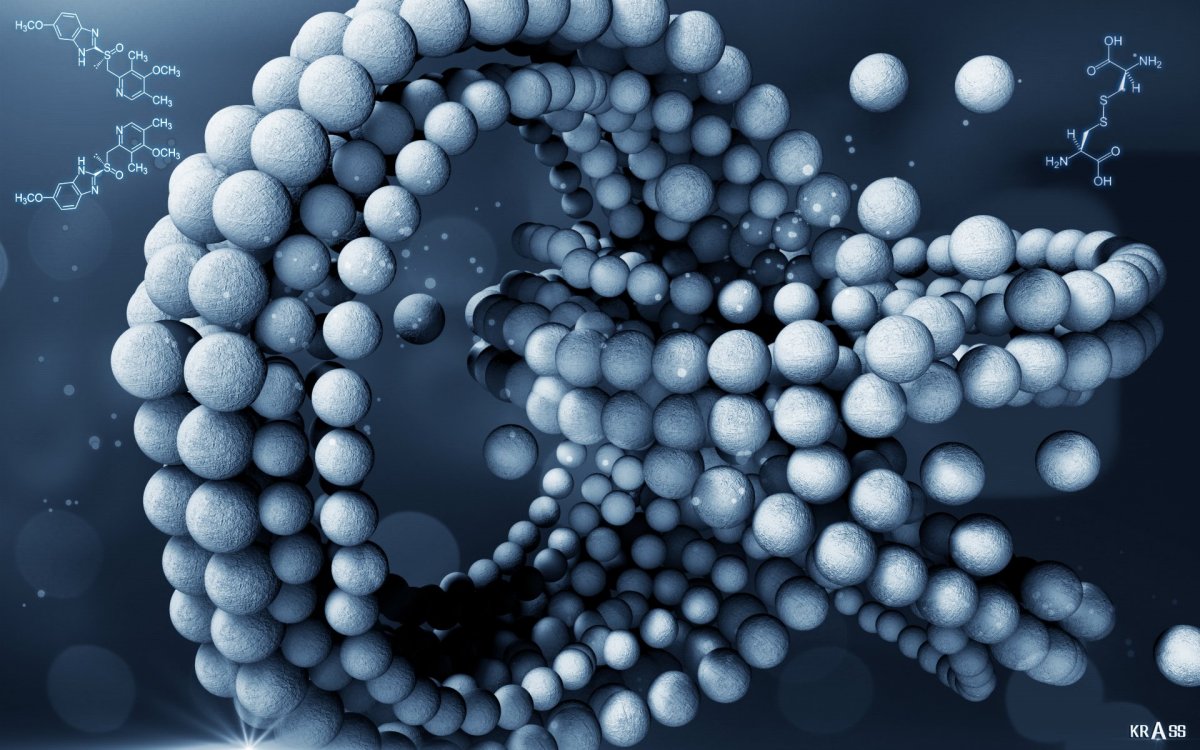 Молекула ДНК