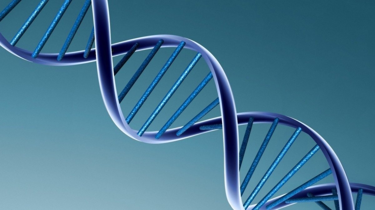 Биспираль ДНК