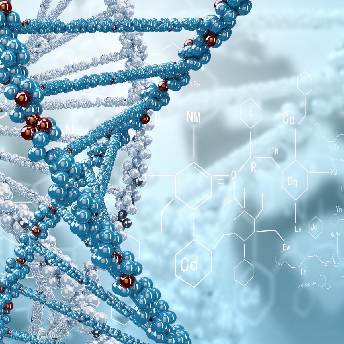 Спираль ДНК