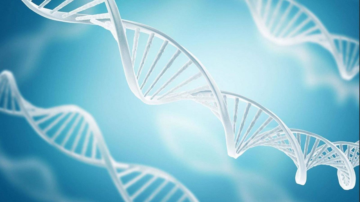 ДНК абстракция