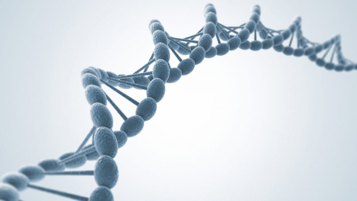 Спираль ДНК