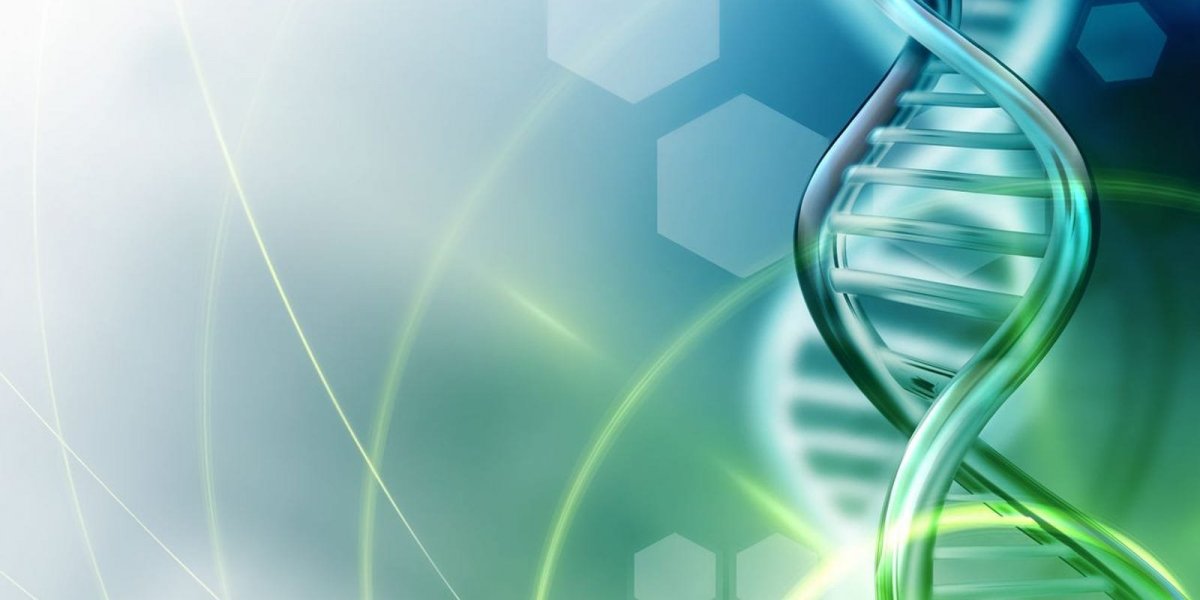 Фон для презентации по биологии