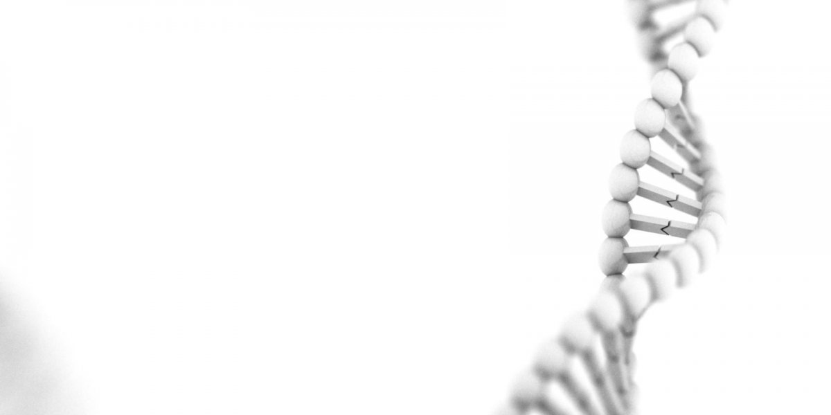 Цепочка ДНК