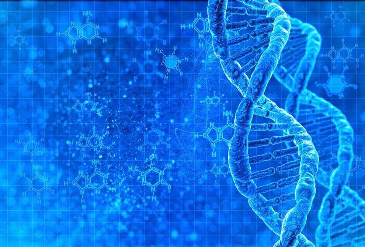 Красивая ДНК