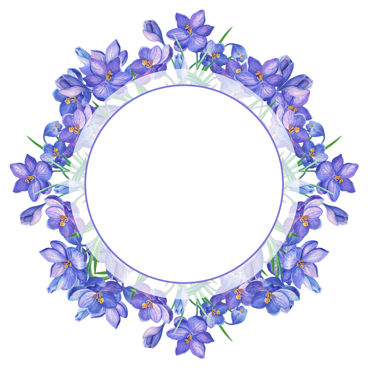 Красивый овал для надписи