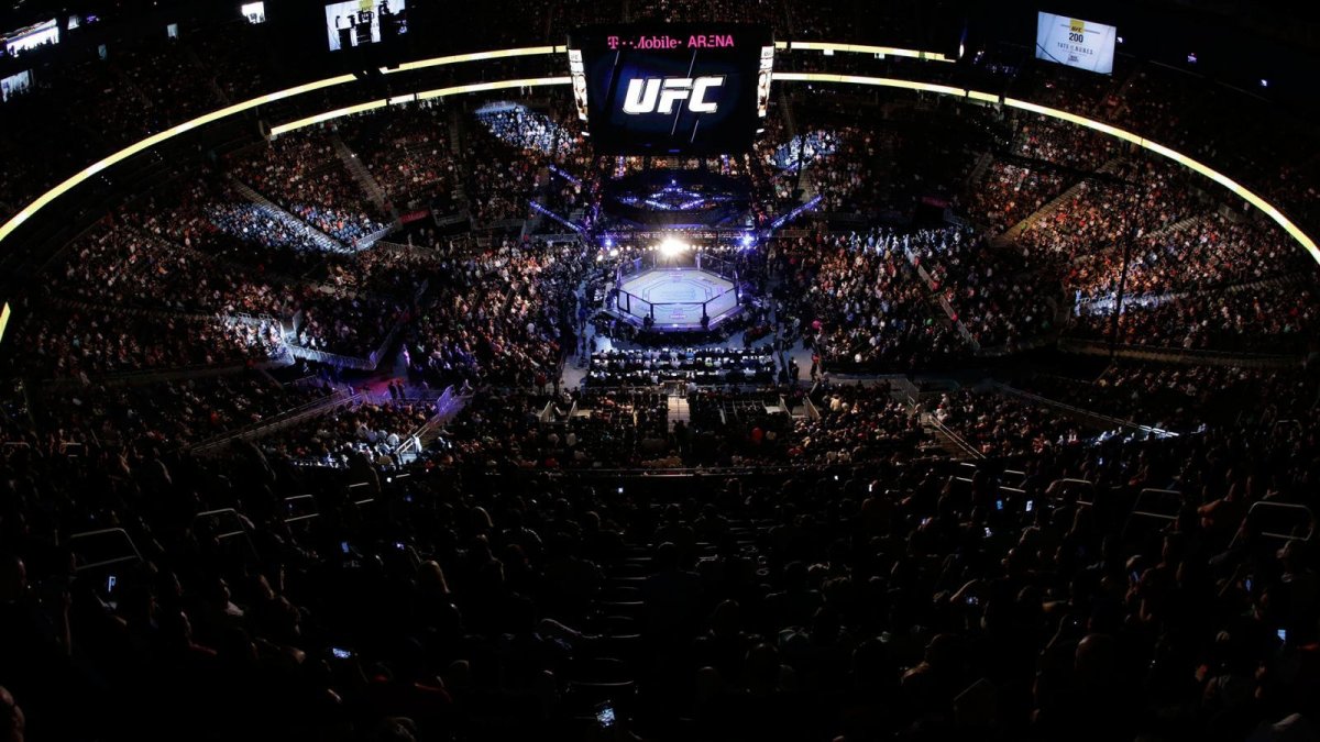 Октагон UFC