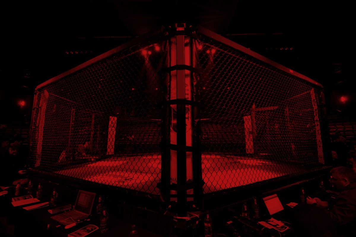 Октагон сетка ММА