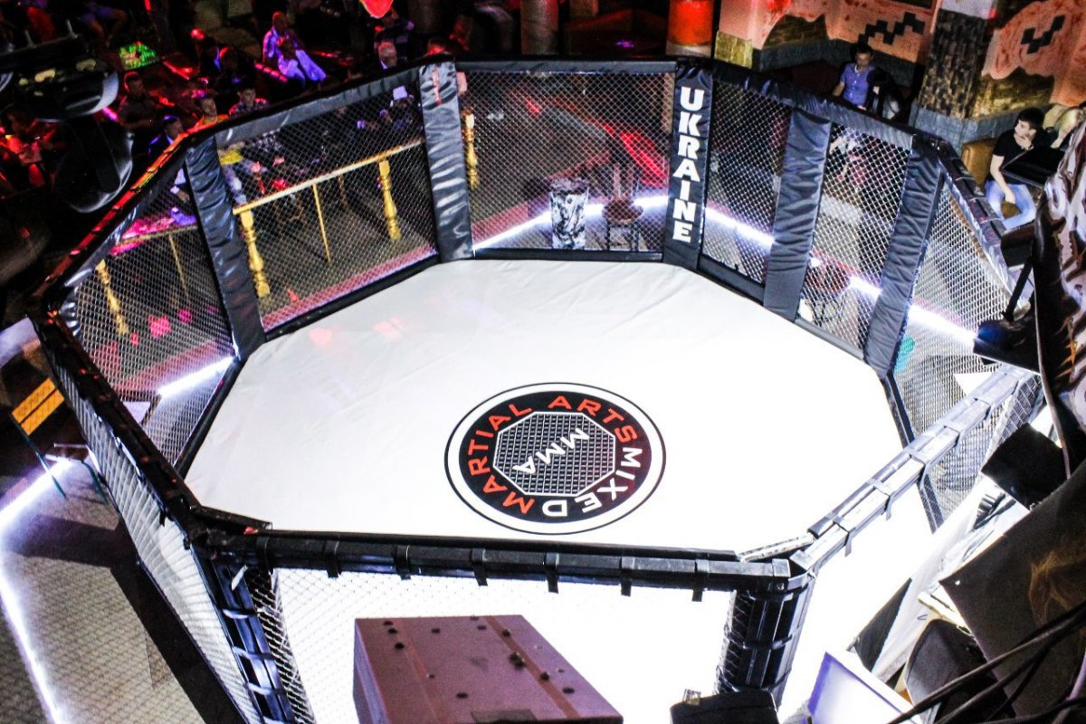 MMA UFC октагон