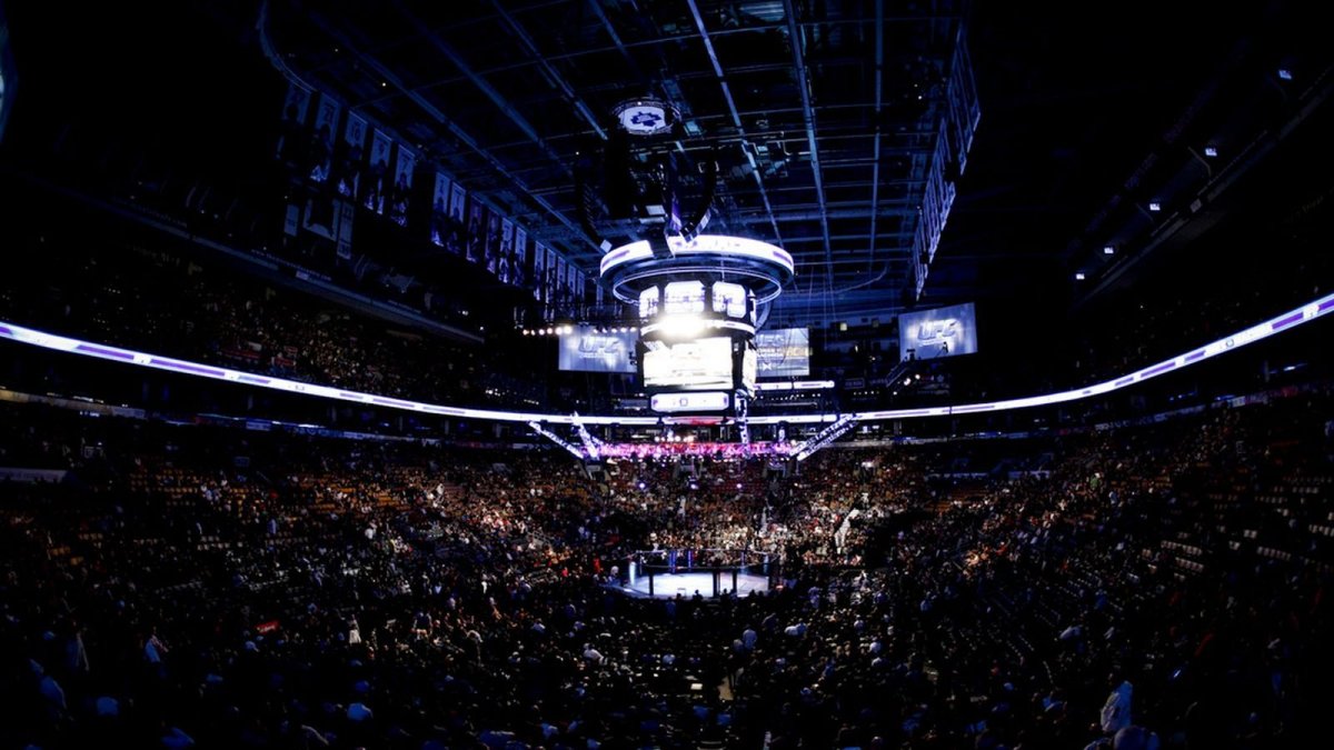 Трибуны юфс