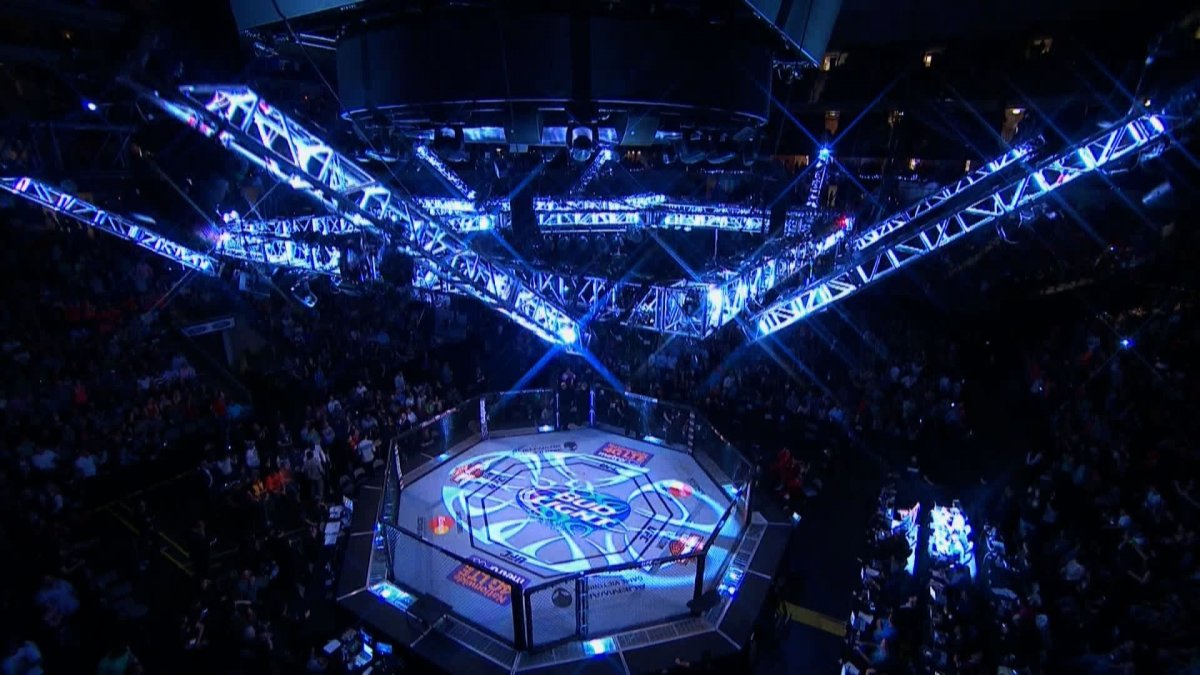 Арена октагон