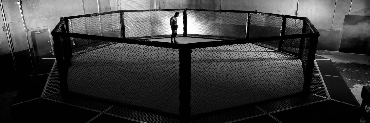 MMA UFC White октагон