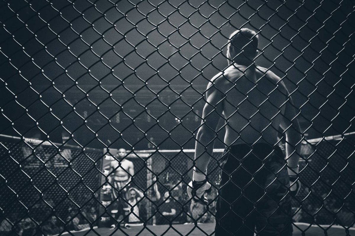 Октагон сетка ММА