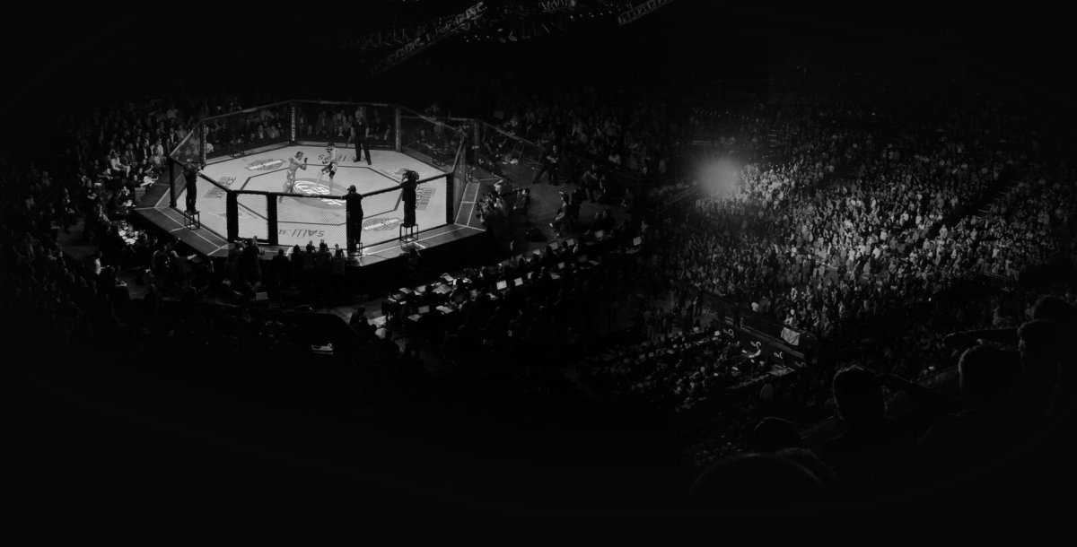 Октагон UFC background