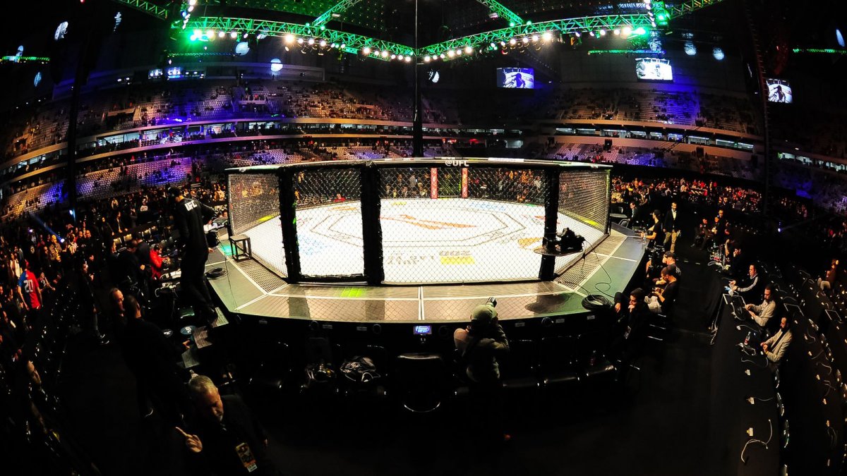 MMA стадион октагон