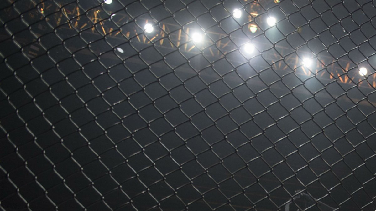 Октагон сетка ММА