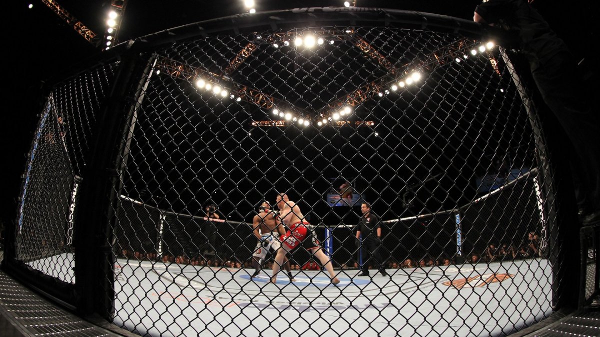 Октагон сетка ММА