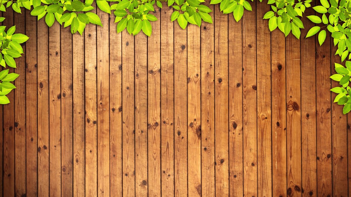 Дерево на стене