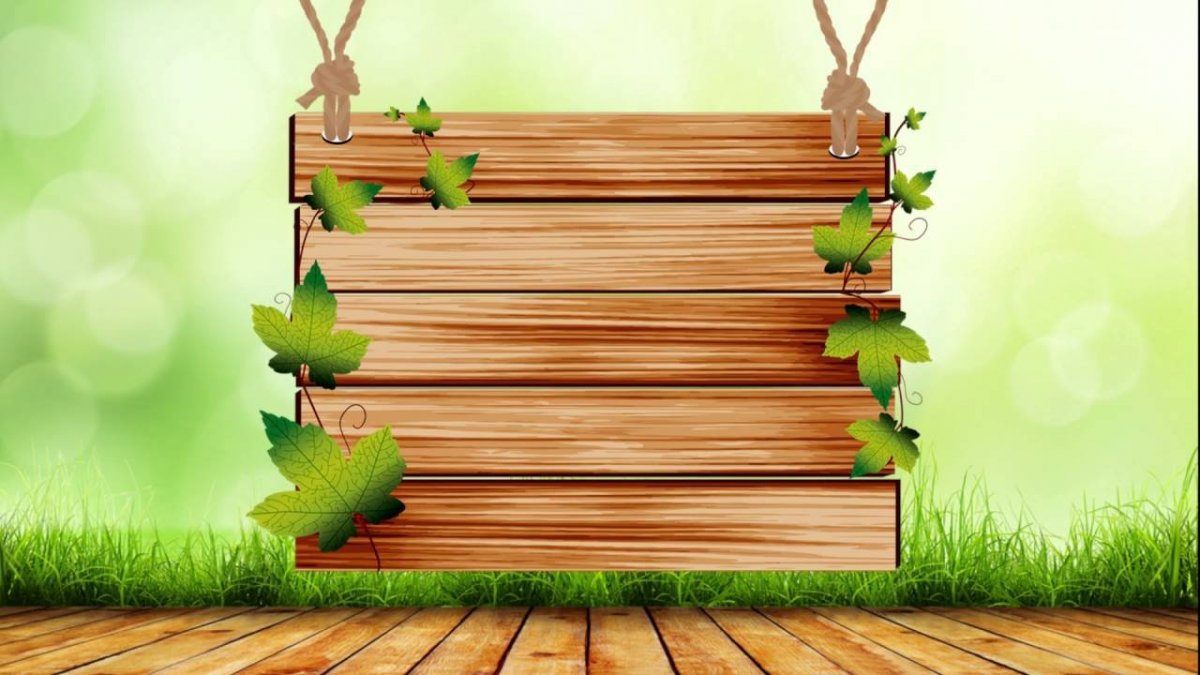 Летний фон для текста