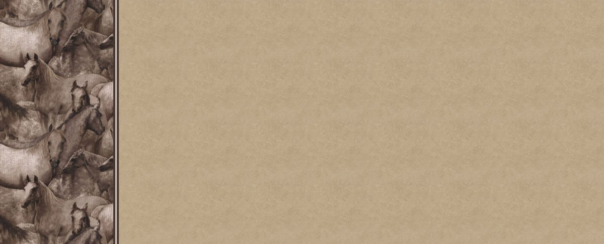 Фон для презентации лошади