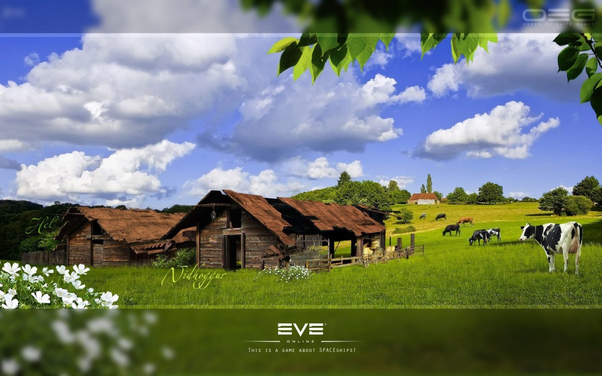 Лето в деревне