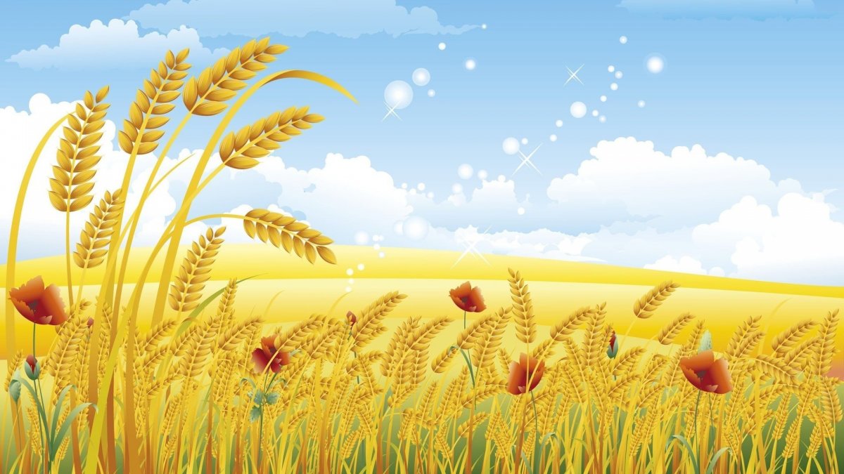 Нарисованное поле