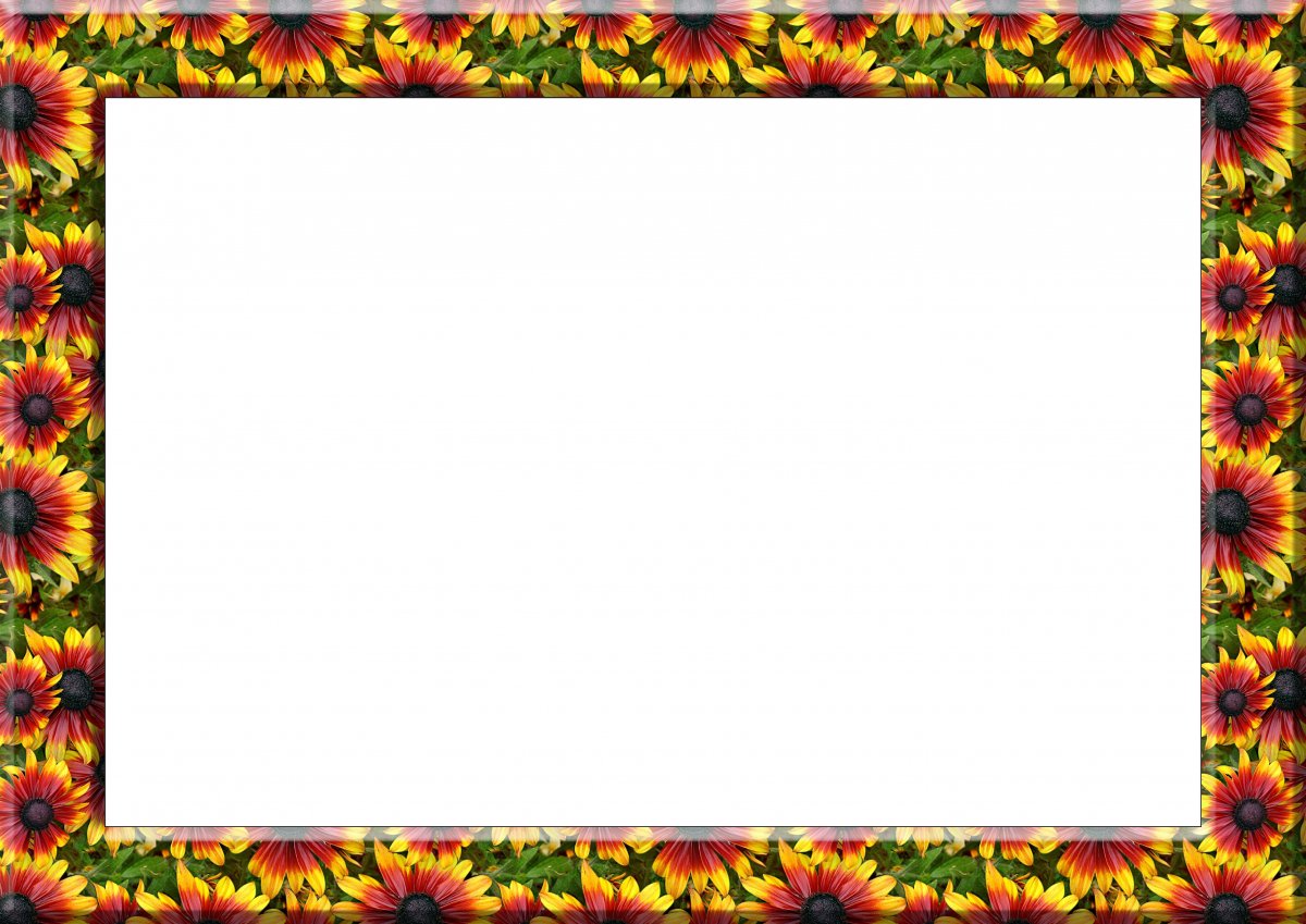 Рамочка горизонтальная