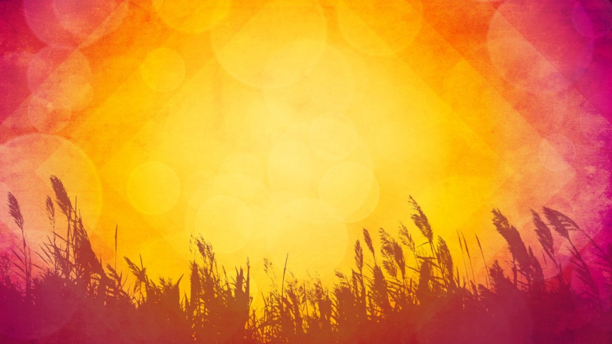 Нейтральный фон