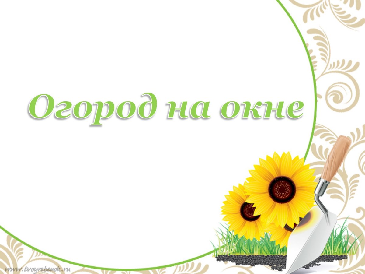 Царство растения внешнее строение и общая характеристика растений