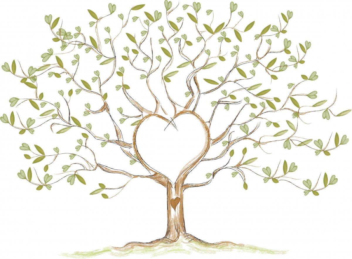 Дерево для семейного древа