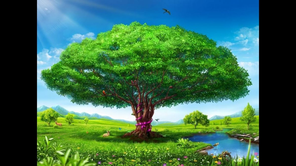 Красивое дерево