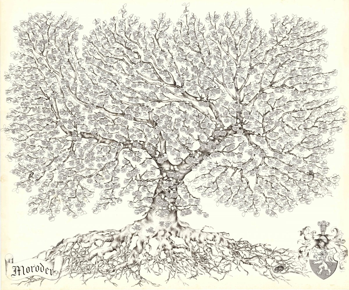 Генеалогическое дерево гравюра