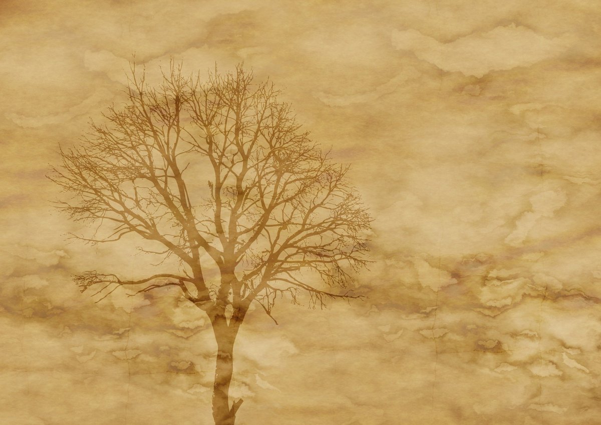 Дерево на старой бумаге