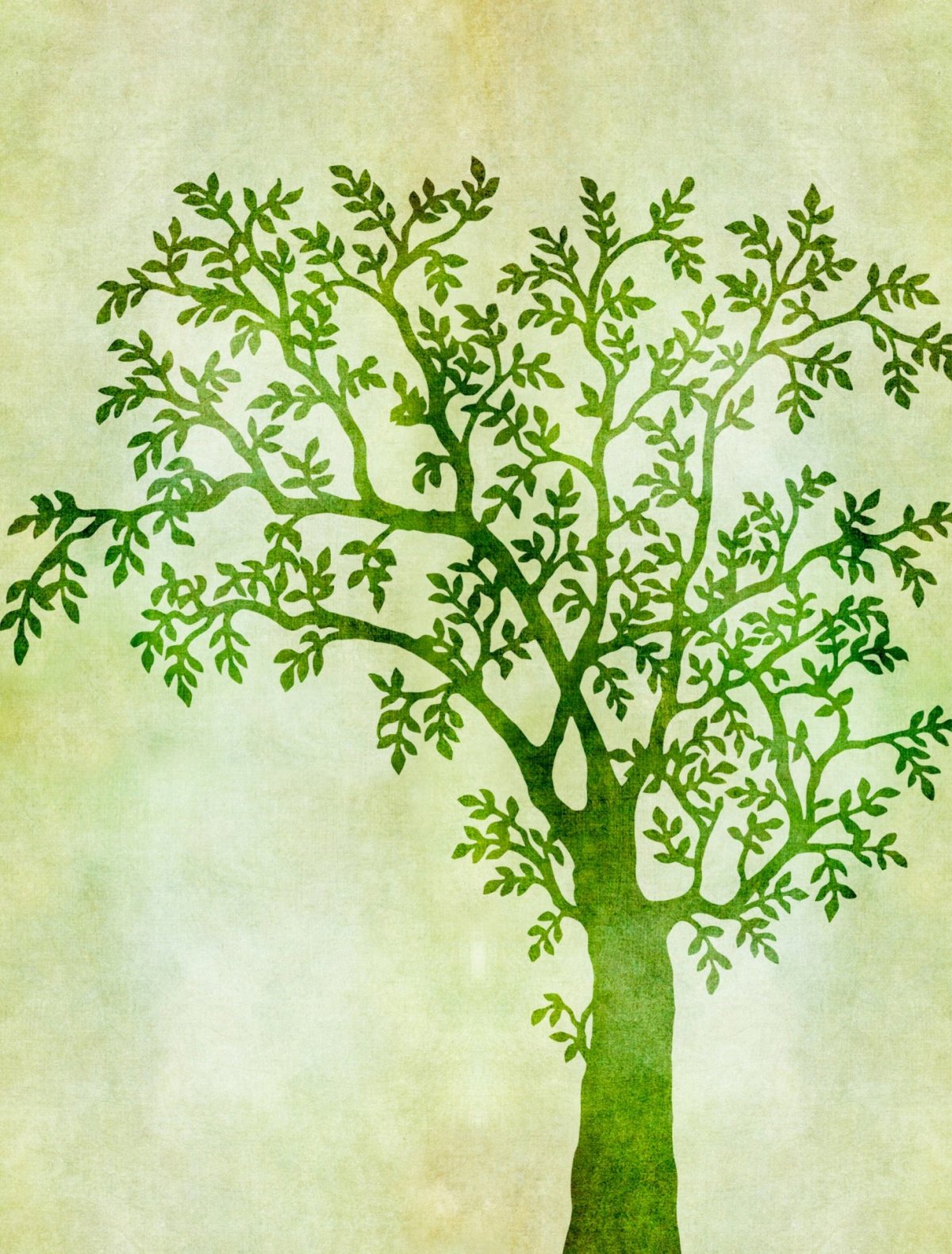 Фон для родословной