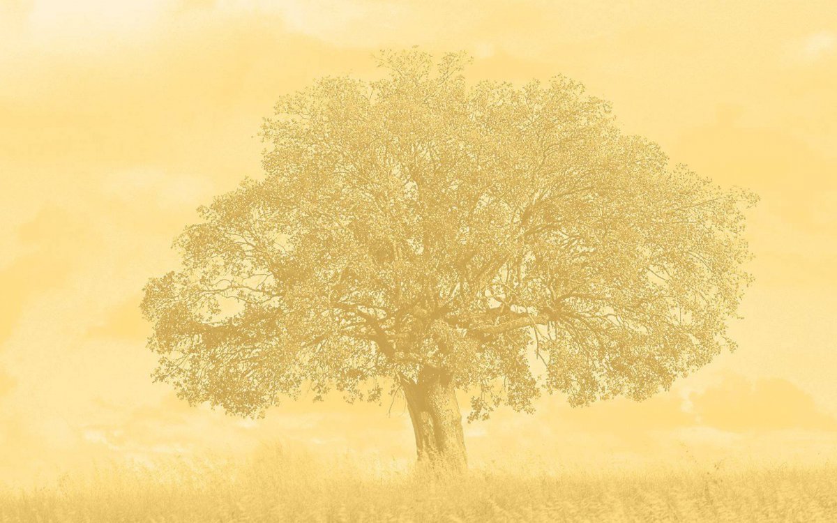 Фон для дерева родового