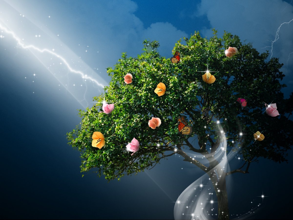 Волшебное дерево