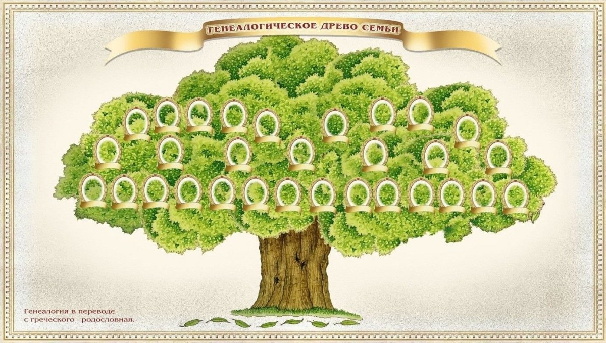 Большое дерево для родословной