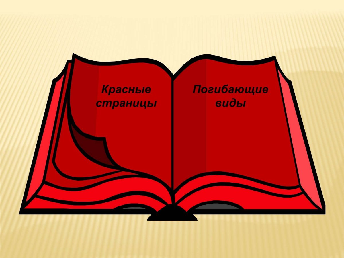 Красная книга презентация