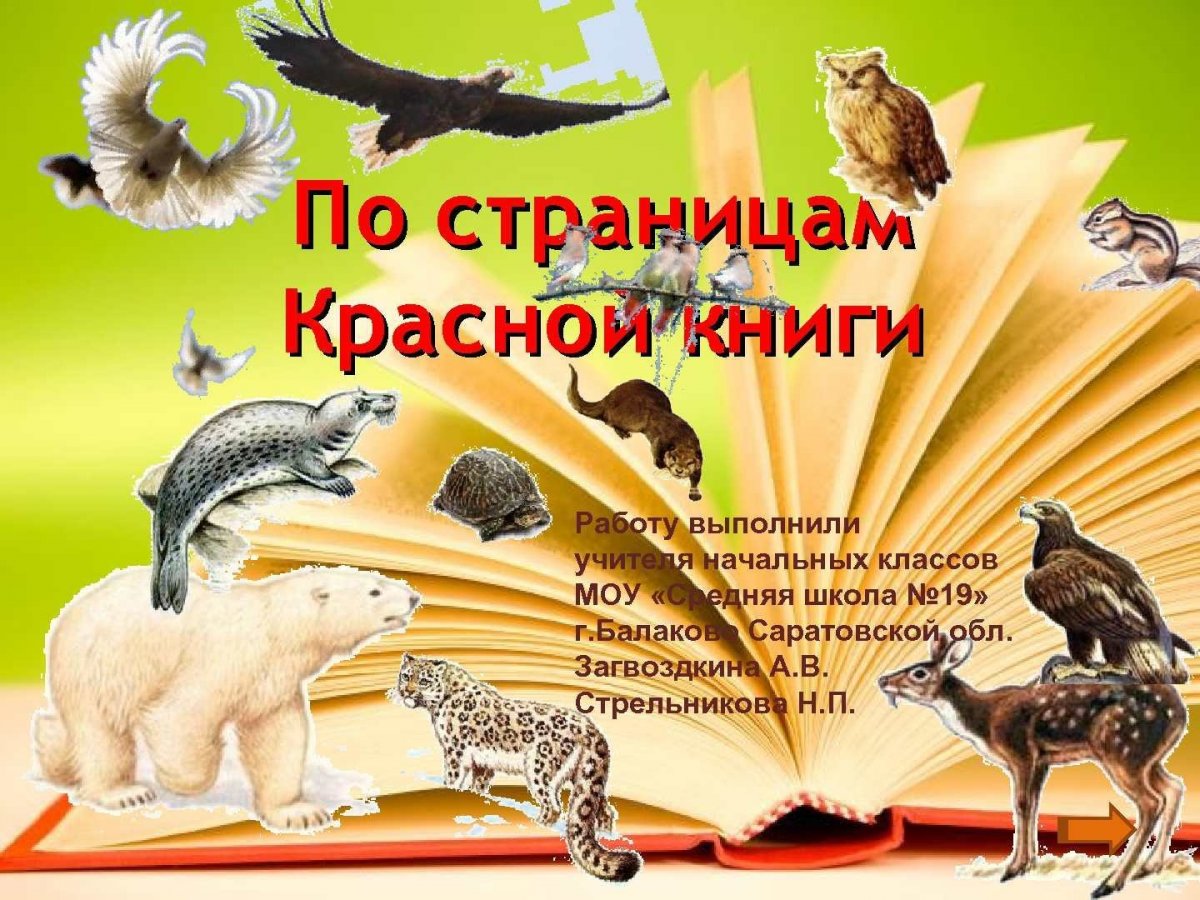 Выставка по страницам красной книги