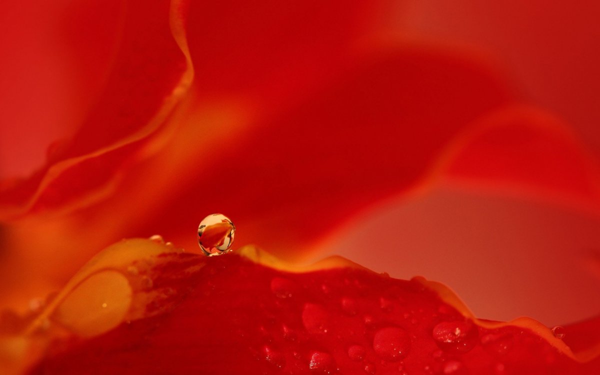 Капли воды на Красном фоне