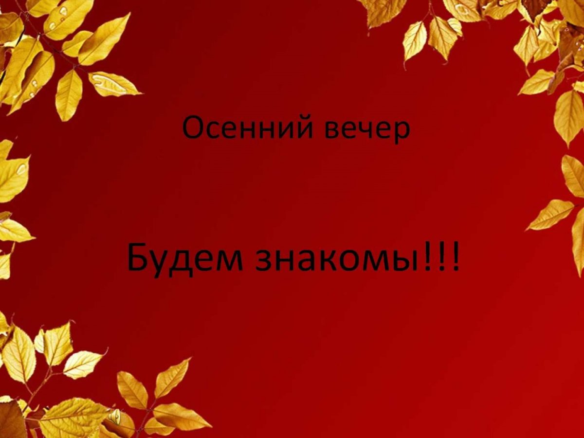 Красивые слайды для презентации